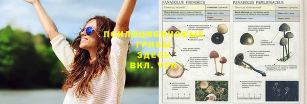 первитин Корсаков