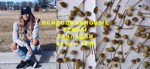 MDMA Premium VHQ Аркадак