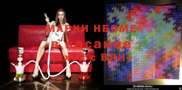 прущие грибы Арсеньев