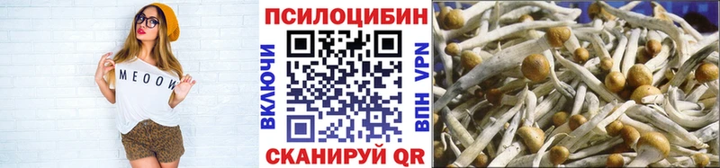 Галлюциногенные грибы Psilocybe  Купить закладки  Болотное 